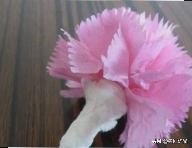 母亲节手工康乃馨简单又漂亮,母亲节适合给妈妈做的康乃馨手工