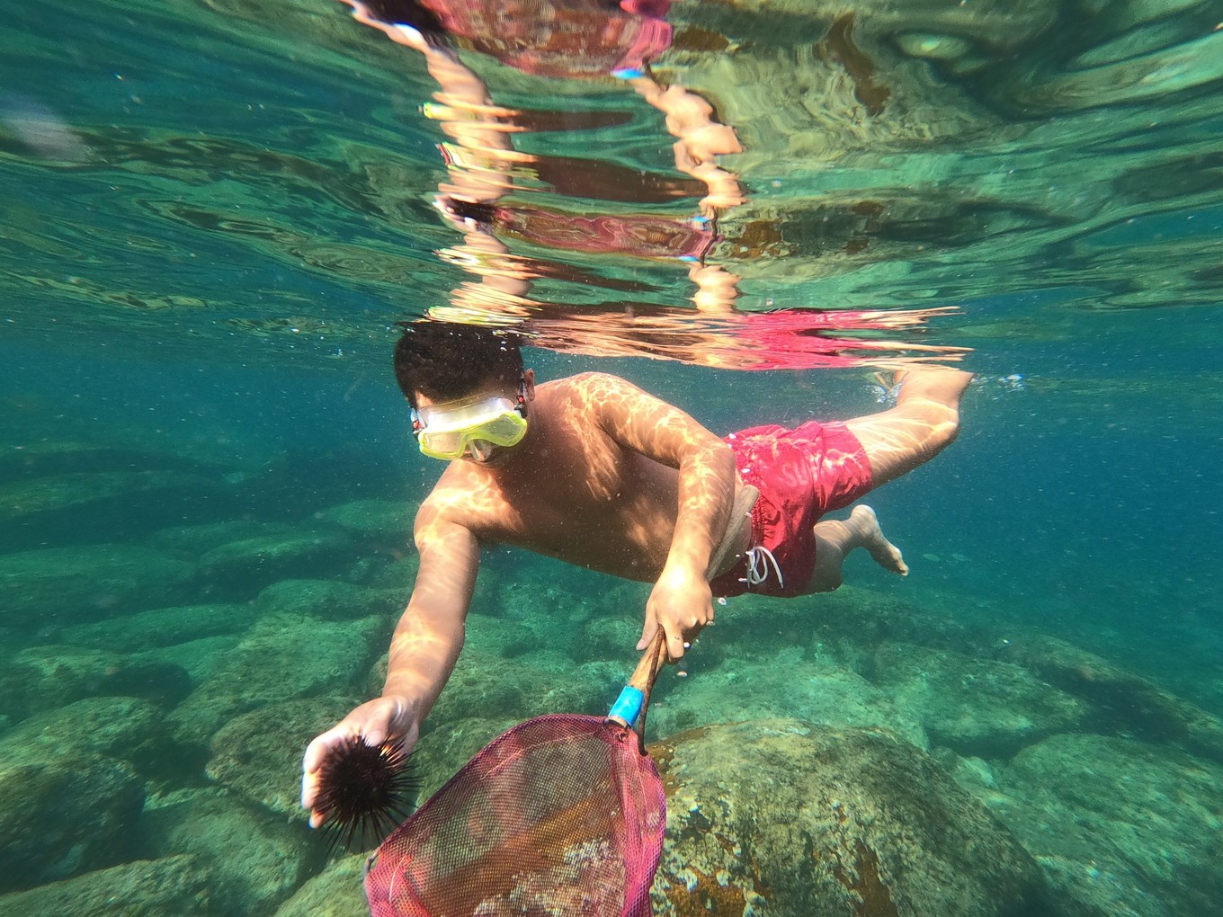 南澳岛看海完整版,南澳岛看海解读