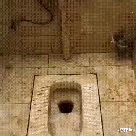 电梯里的妹子通常咋启齿搭讪比力好啊？哈哈