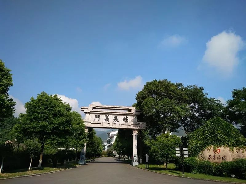 砥砺前行感恩有你,2019感恩有你2020一路同行共创佳绩