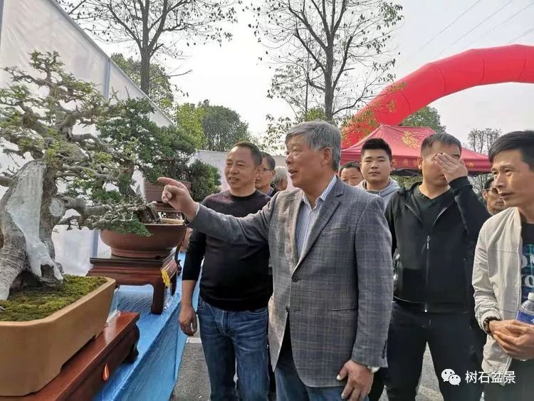 伟大使命复兴中国盆景艺术事业——2019中盆会大事回顾(下篇)