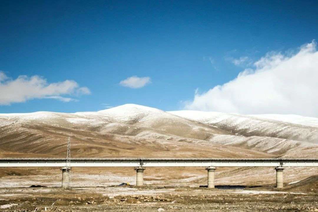 小米要回农村,小米再次回到家乡