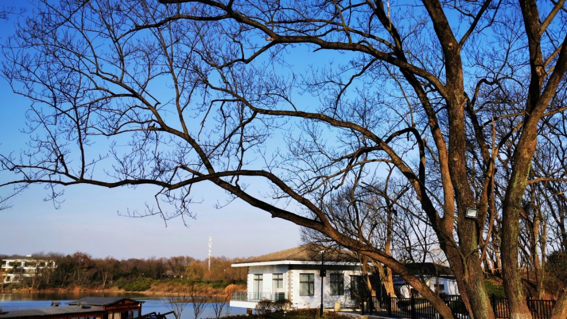 南京紫金山庄,南京紫金山庄钓鱼