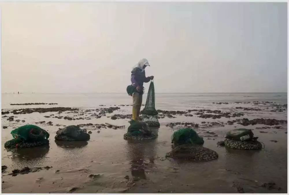 【读历史游盘锦】几许渔人飞短舟,尽载灯火归村路渤海金滩蛤蜊岗