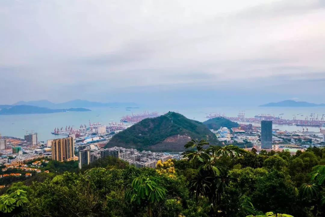 深圳遛娃50个必去的主题公园,深圳遛娃必去景点免费全部列表