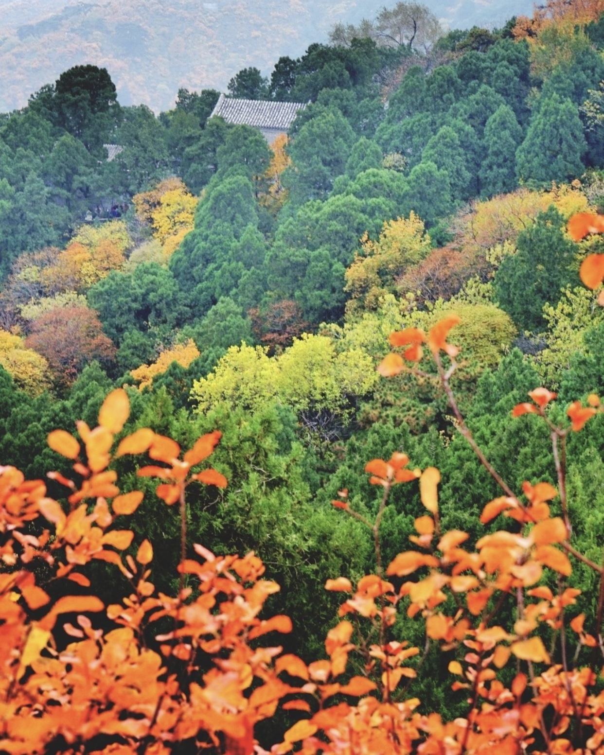 为什么你来北京我绝不建议你跟团