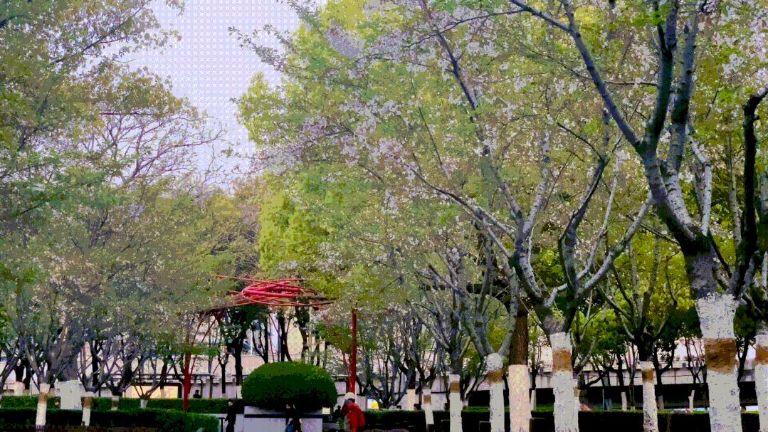 住在明光路的合肥人,太太太幸福了