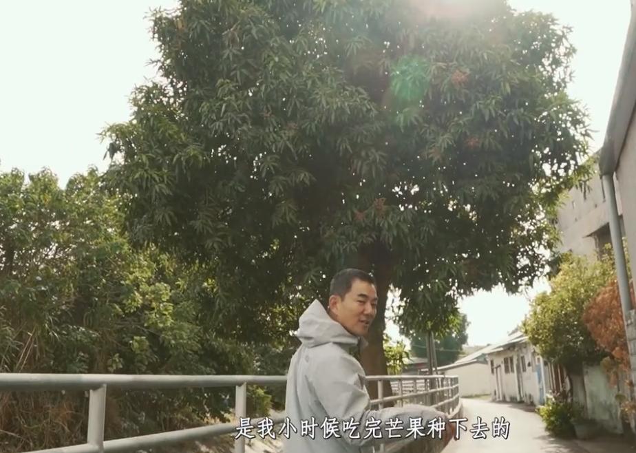 任贤齐为什么经典不衰,华语乐坛的巅峰任贤齐