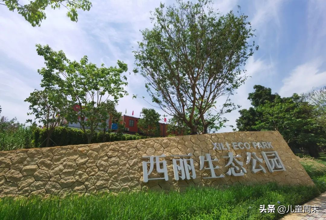 深圳带娃免费旅游推荐,深圳带娃出游景点攻略推荐