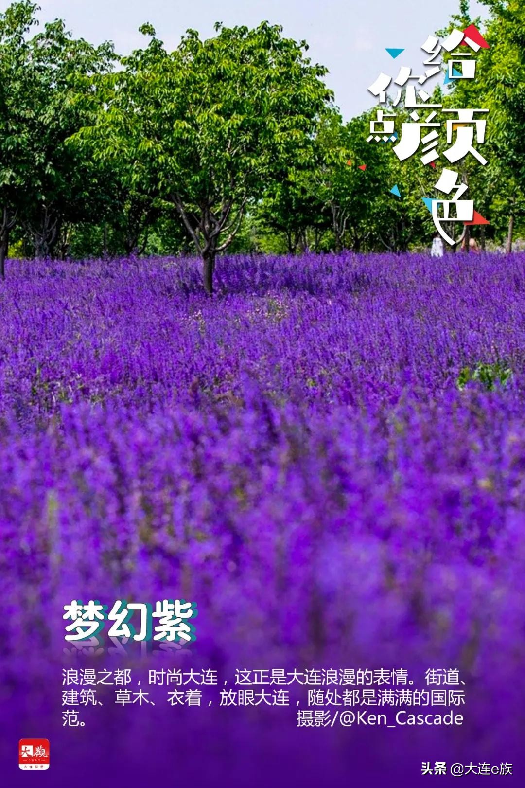 大连给车改色,大连色卡