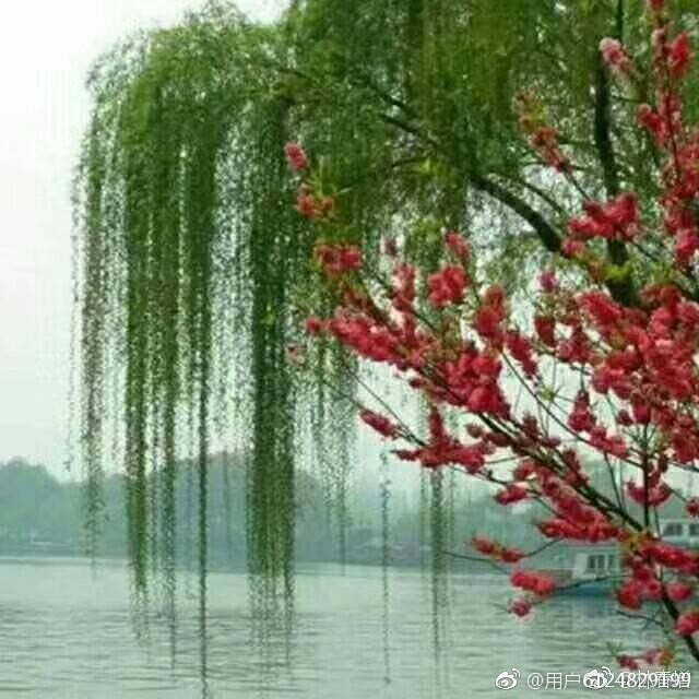 有趣的汉字读音相同,奇妙的汉字多音多义