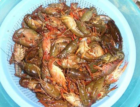 清洗小龙虾可以用料酒洗吗,用什么清洗小龙虾又快又干净