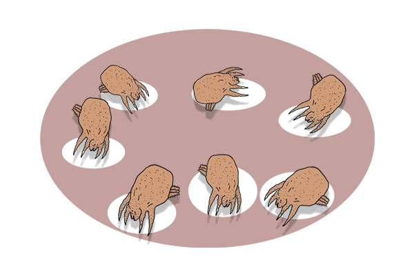 搓澡黑色皮子有用吗,洗澡搓出来的东西有必要吗