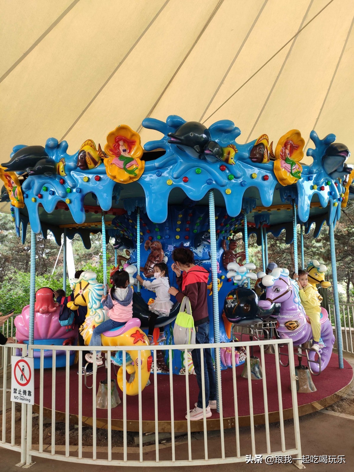 沈阳可以探险的地方,沈阳亲子游丛林探险