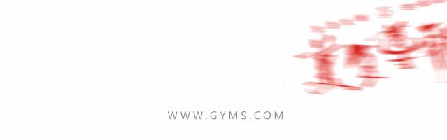 广东最好吃的牛腩粉,广东最出名的牛腩粉