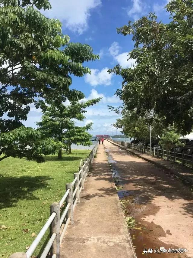 泰国岛屿旅游攻略一日游路线,泰国导游