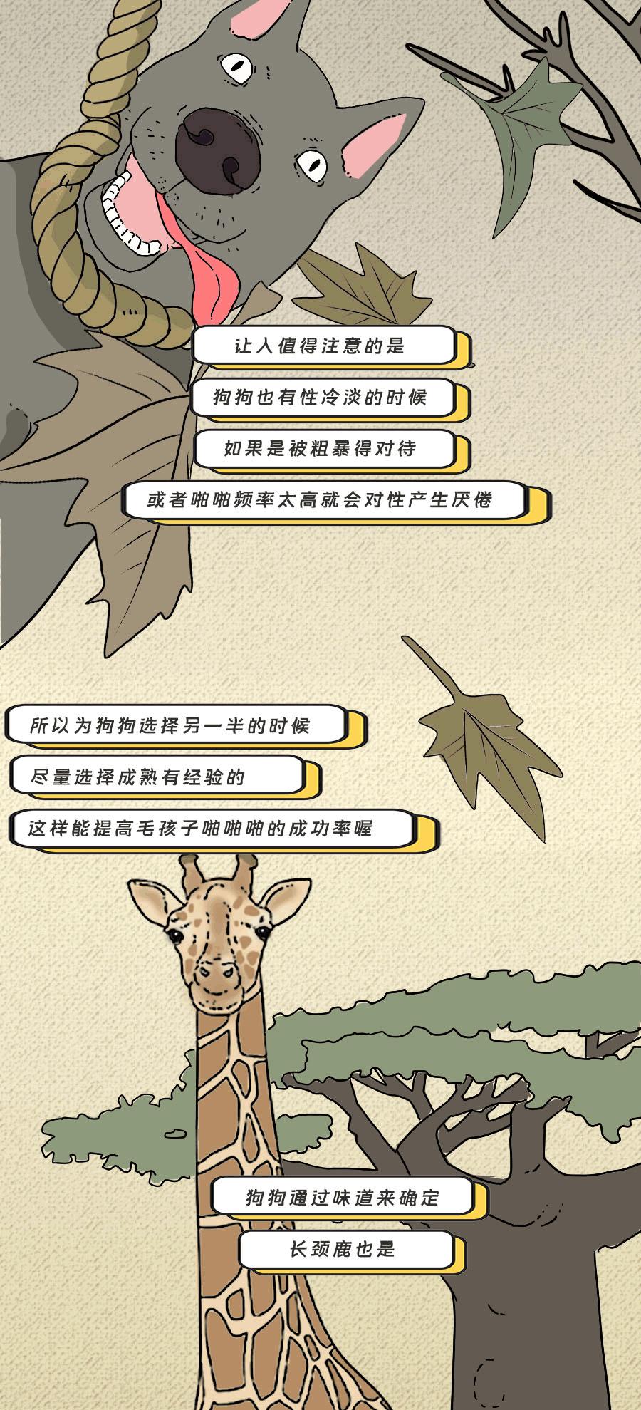 论啪啪啪，人类可比不上它们……