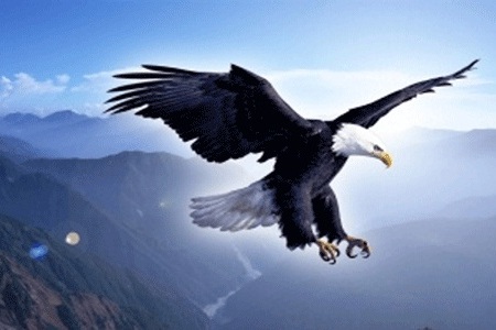 幼儿园终于开学啦,幼儿园终于要开学了话语