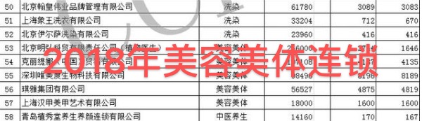 全国连锁美容美体品牌有哪些,美容美体榜单