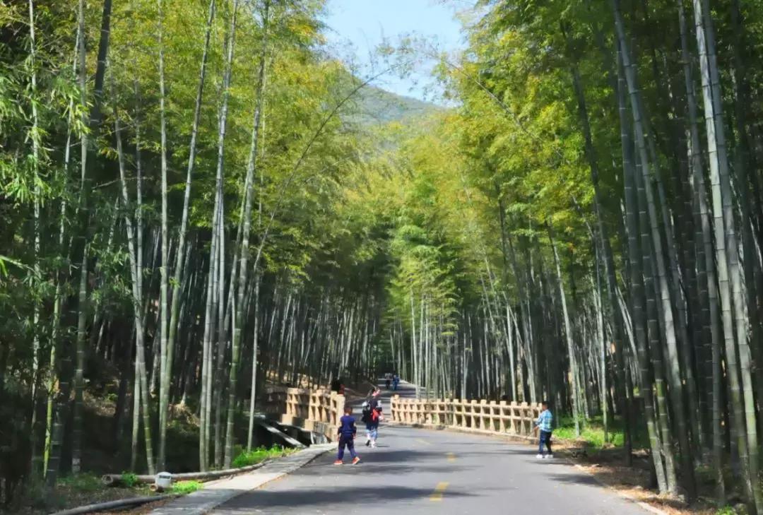 节后不想上班如何缓解节后综合症,支招节后综合征上班没精神怎么办