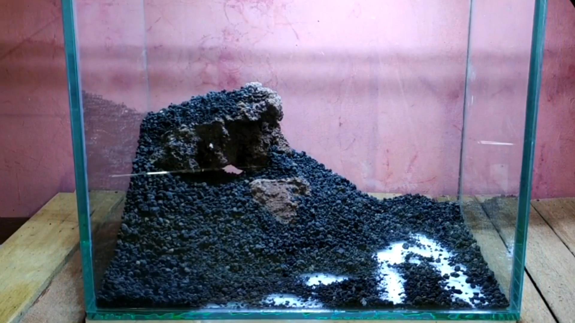 水陆缸石头拼接造景教程,真石头假山拼接造景