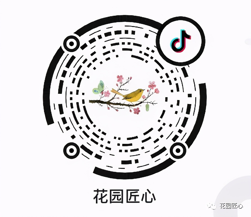 夏季花草脱水怎么治,植物脱水的补救方法