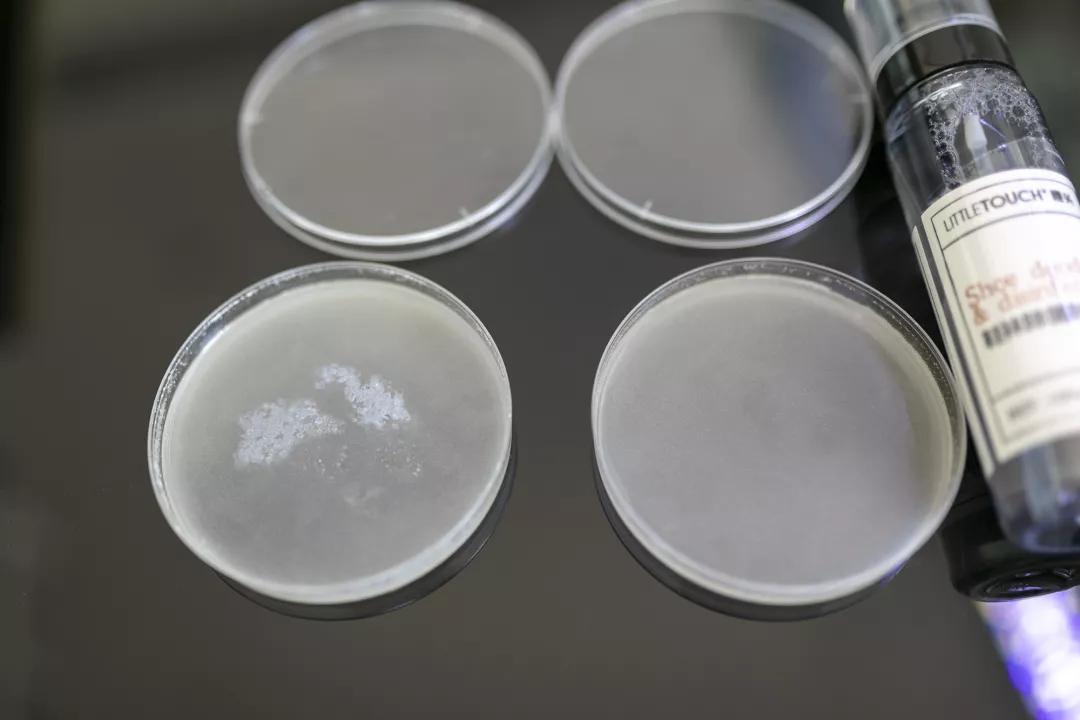 去除脚臭最有效的喷雾,去脚臭最有效方法喷雾