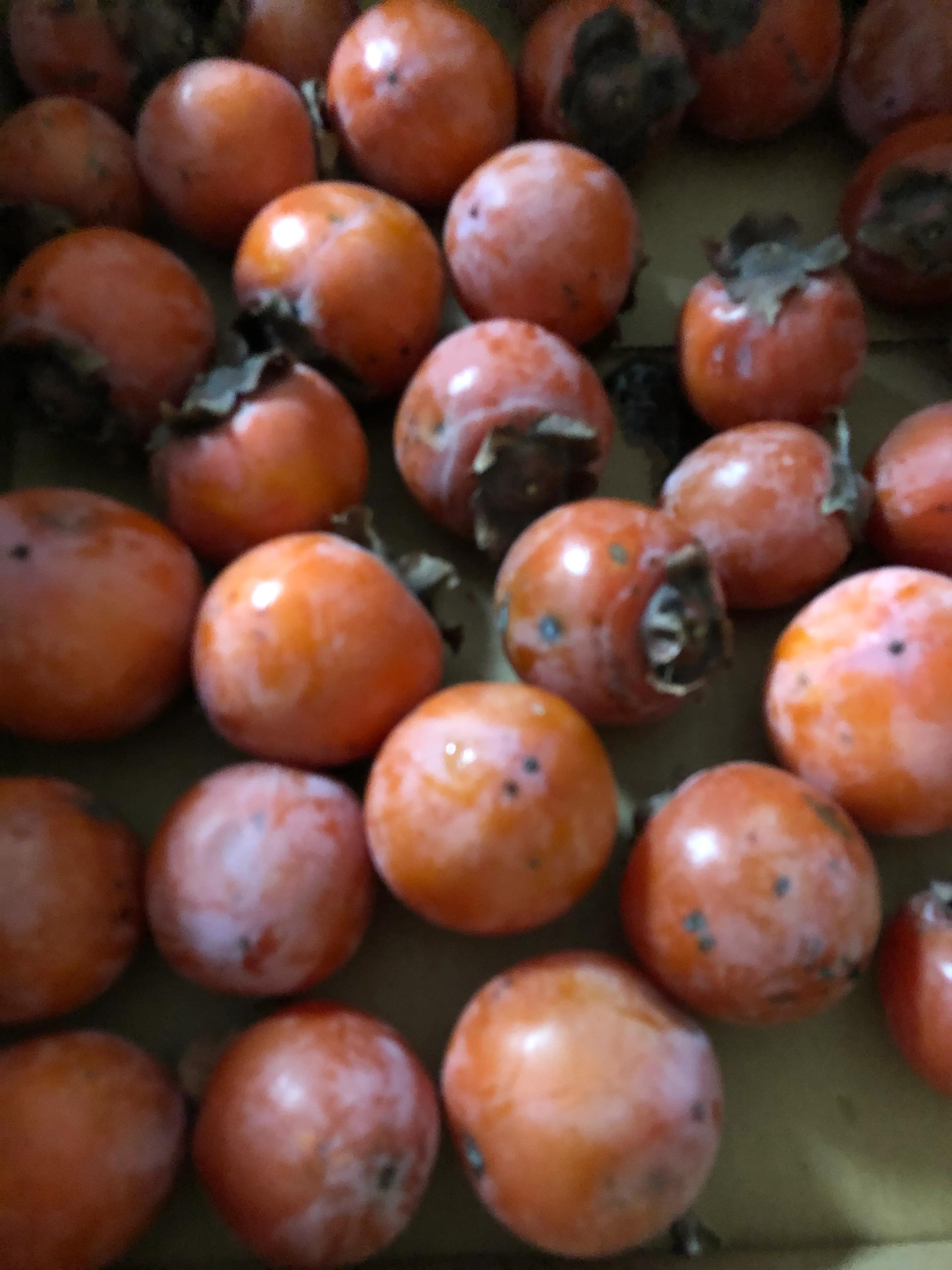 油煎了手起泡怎么办,油煎柿子糕