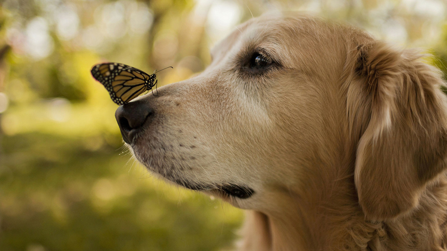 中国天眼遇到暴雨如何排水,天眼碰到暴雨视频