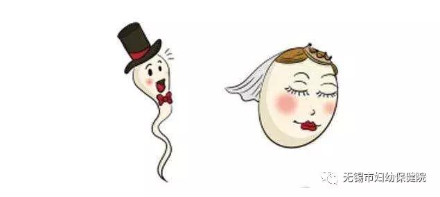 「一线医事」输卵管复通术，带你找回再次“生机”