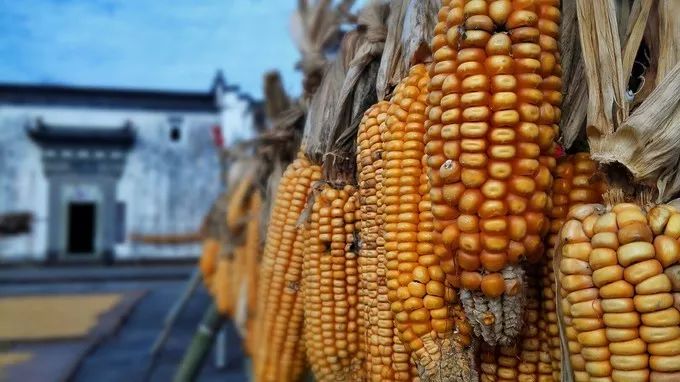 安徽值得去的四大古村,安徽春天最美十大村落