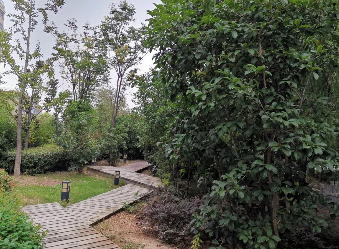 徐州房价最差小区,徐州各小区房价一览