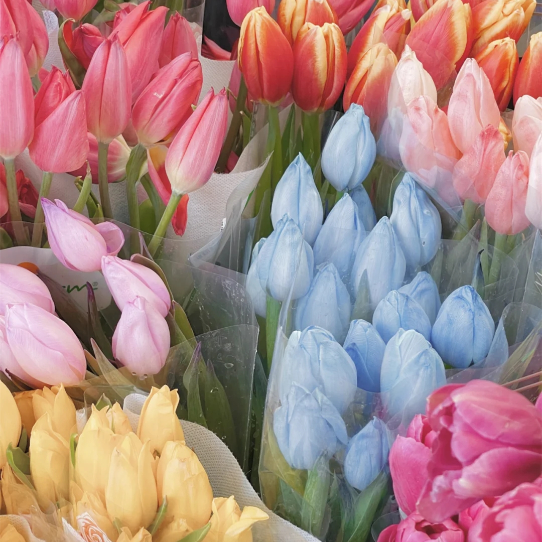 野冬青花材,畅销花卉绿植排行榜前十名