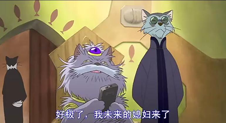 猫的报恩在哪里才看得到,猫的报恩行为