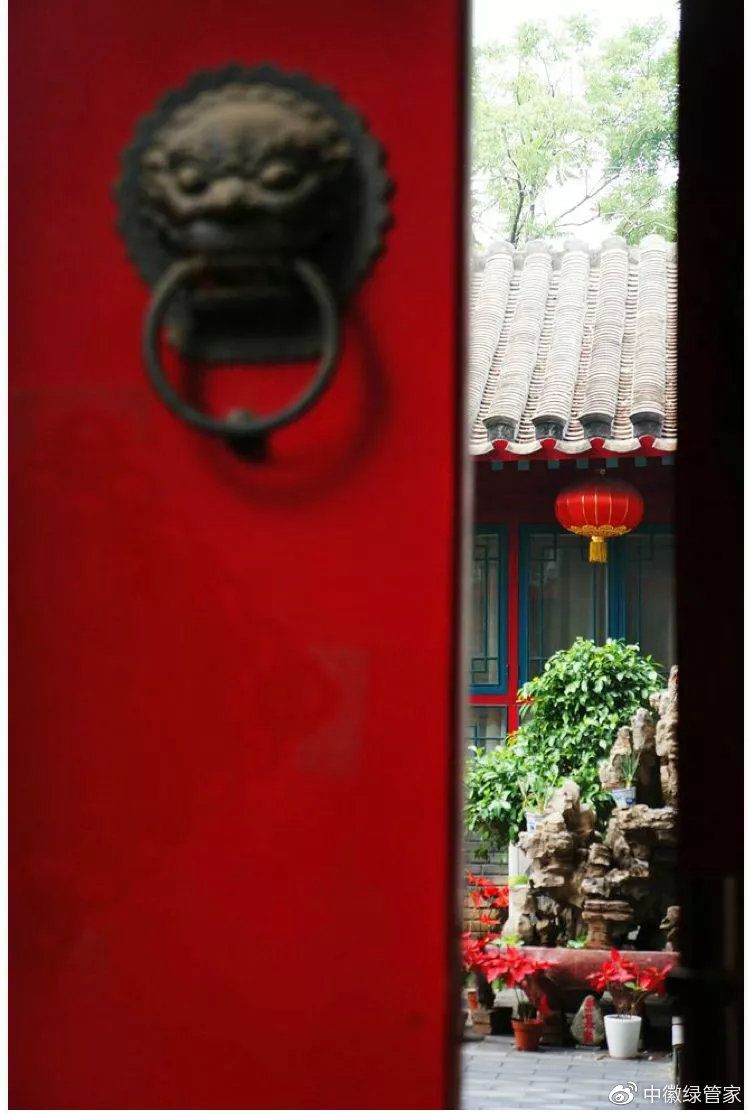 中徽绿化园林,中式园林的四季之美