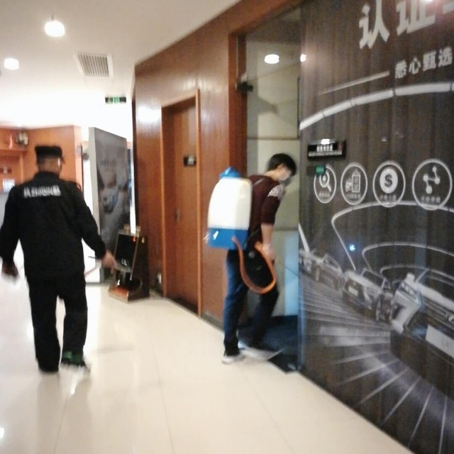 阜阳杀虫灭鼠灭蟑螂灭白蚁,专业灭鼠灭蟑螂杀白蚁维修电话