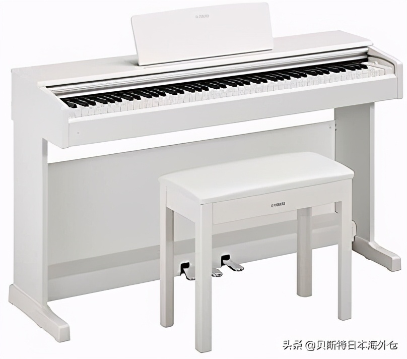 2022电子琴上榜品牌,日本电子琴推荐