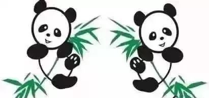 董卿十年全文,董卿阅读分享