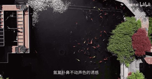 杭州中式豪宅红木,杭州红木家具别墅