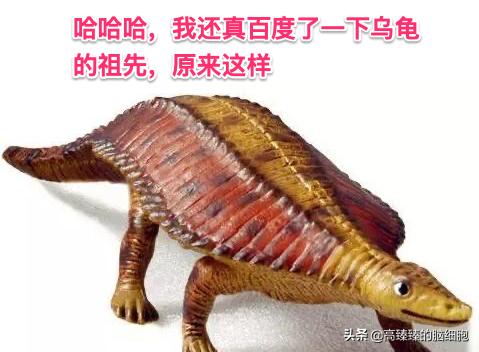 微淼年营收,微淼一万收益最大化