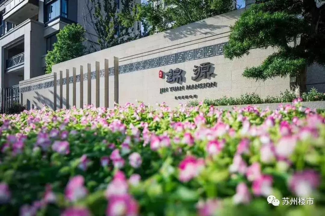 苏州拍照片怎么拍出高级感,苏州最震撼全景