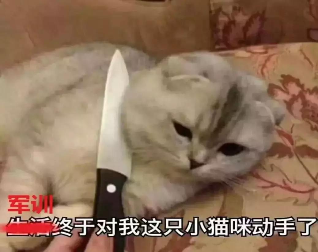 余庆他山中学军训,余庆他山中学2021军训