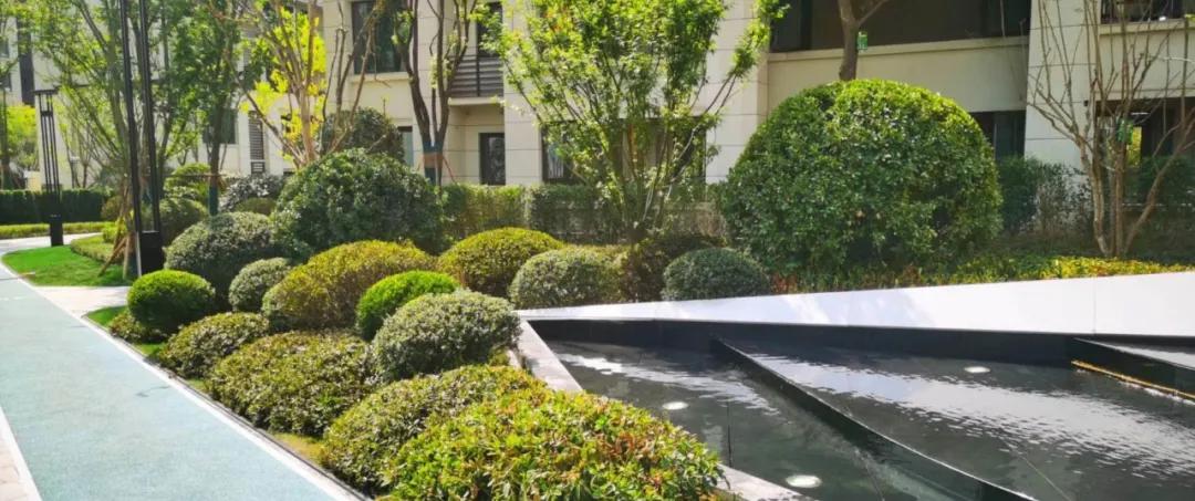 万科金开悦府,万科金开悦府高压线