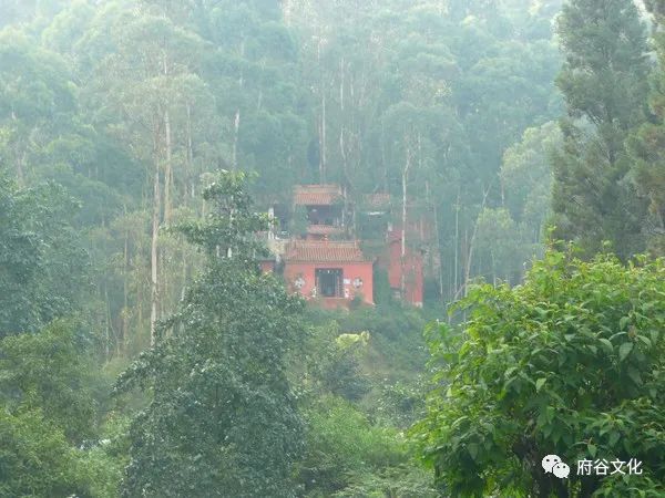 赵振清：龙的传人，龙骨情怀