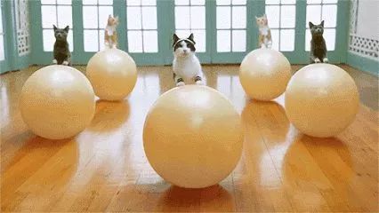 瑜伽私教一对一练多久出效果,瑜伽健身一对一私教有必要吗