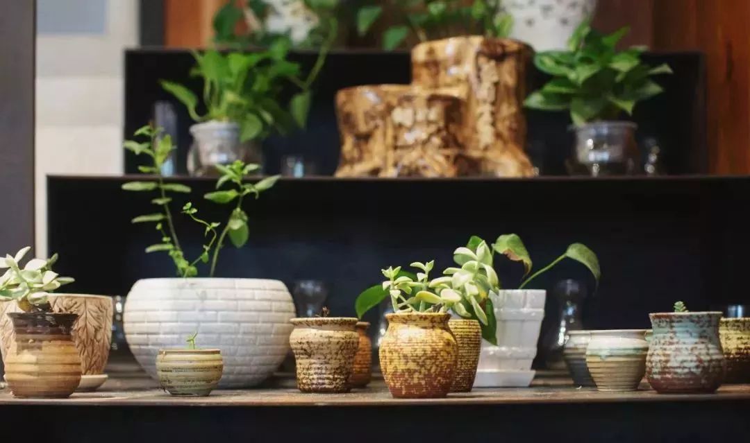 温州正规民宿名单,温州十大口碑最好民宿