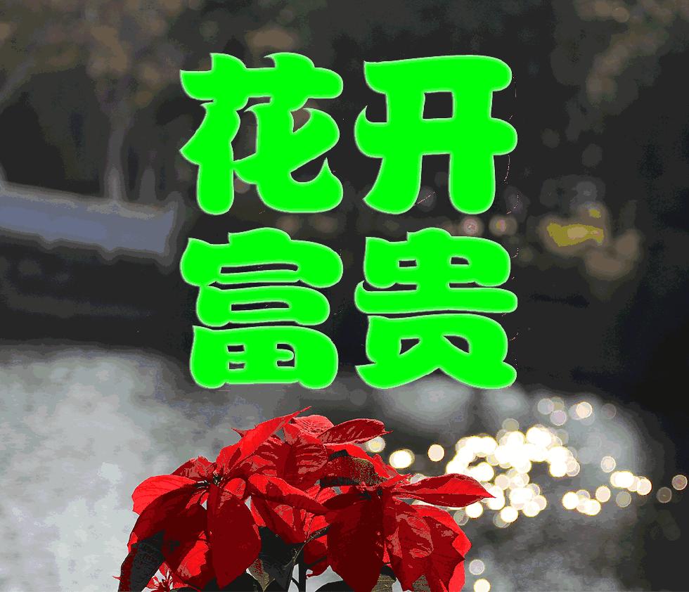 迎新年的七绝新韵,七绝迎新年的感慨