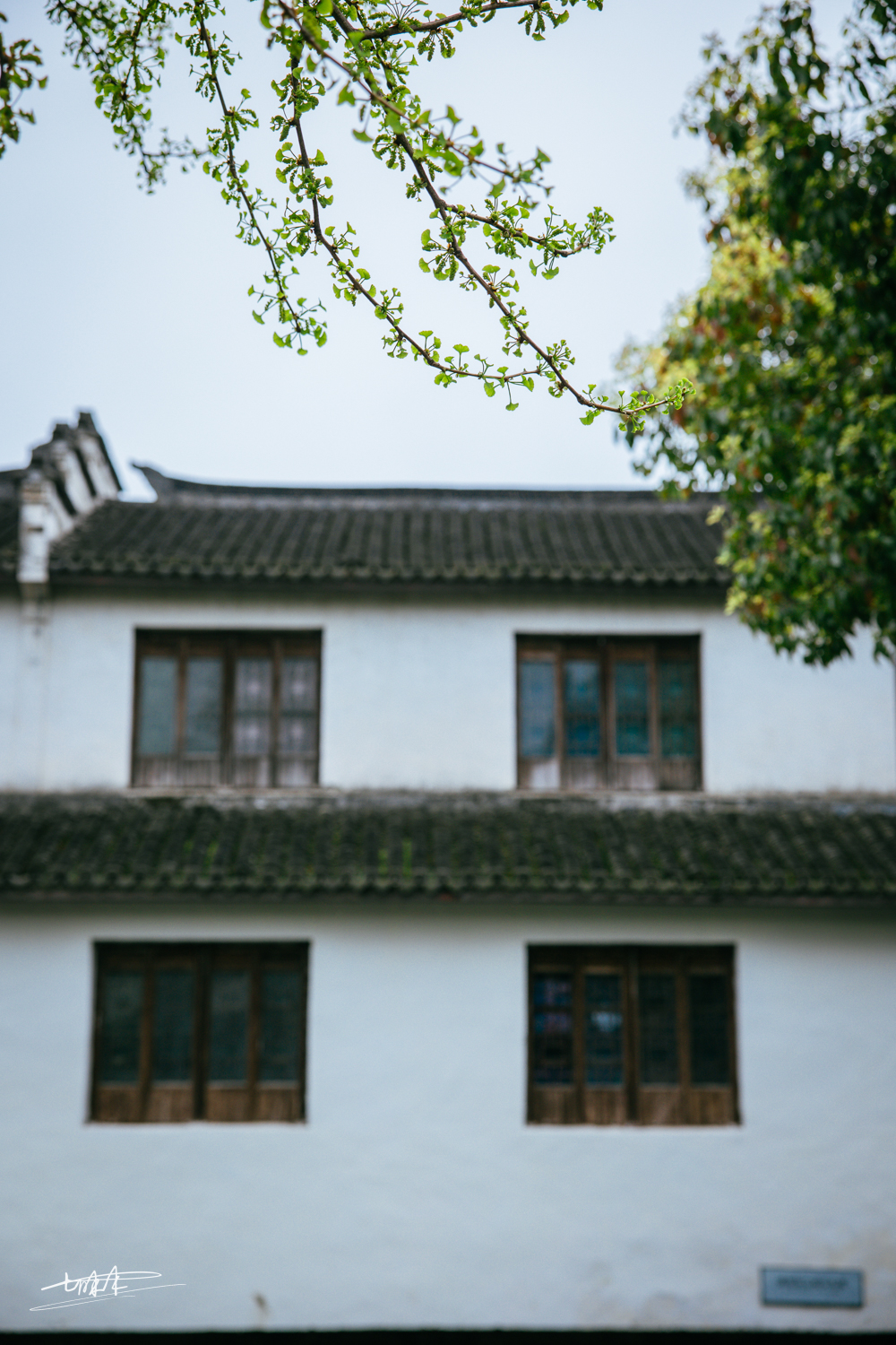 梦里水乡乌镇周庄风景视频,周庄版梦里水乡