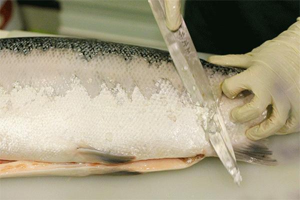 大融城是做什么的,大融城的事