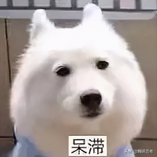 还在发愁自己小腿太粗，肌肉太多吗？这篇“瘦腿攻略”必须马住